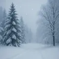 Це все зима