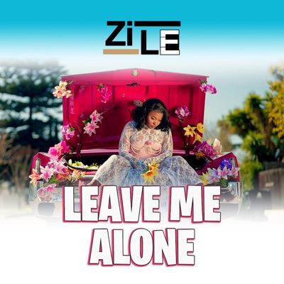 Song - Leave Me Alone - ZiLE