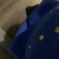 On top - Single - Yoxngsn