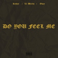 Do You Feel Me? (feat. Lil Weirdo & Oway) - Single - Kinkyy