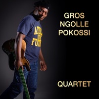 INITIAL STEPS (feat. Earl Talbot, Noé Mina & Ryan Tedder) - Single - Gros Ngolle Pokossi