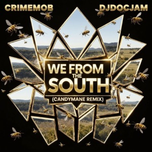 We From The South (feat. Mobshxt Mafia & Breakbread Tay) [Candymane Remix] - Single