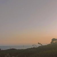 moments that won't last - Single - User67