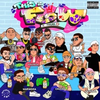 This Is Flow, Vol. Pandemia - This Is Joy