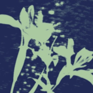 Morningside - Single