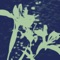 Morningside - blue diner. lyrics