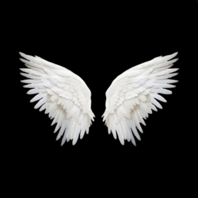 WINGS (feat. Lovekxxg <3) - Single