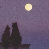 Cerquita e' mi (feat. Neo la joya) - Single - Gata Lunar