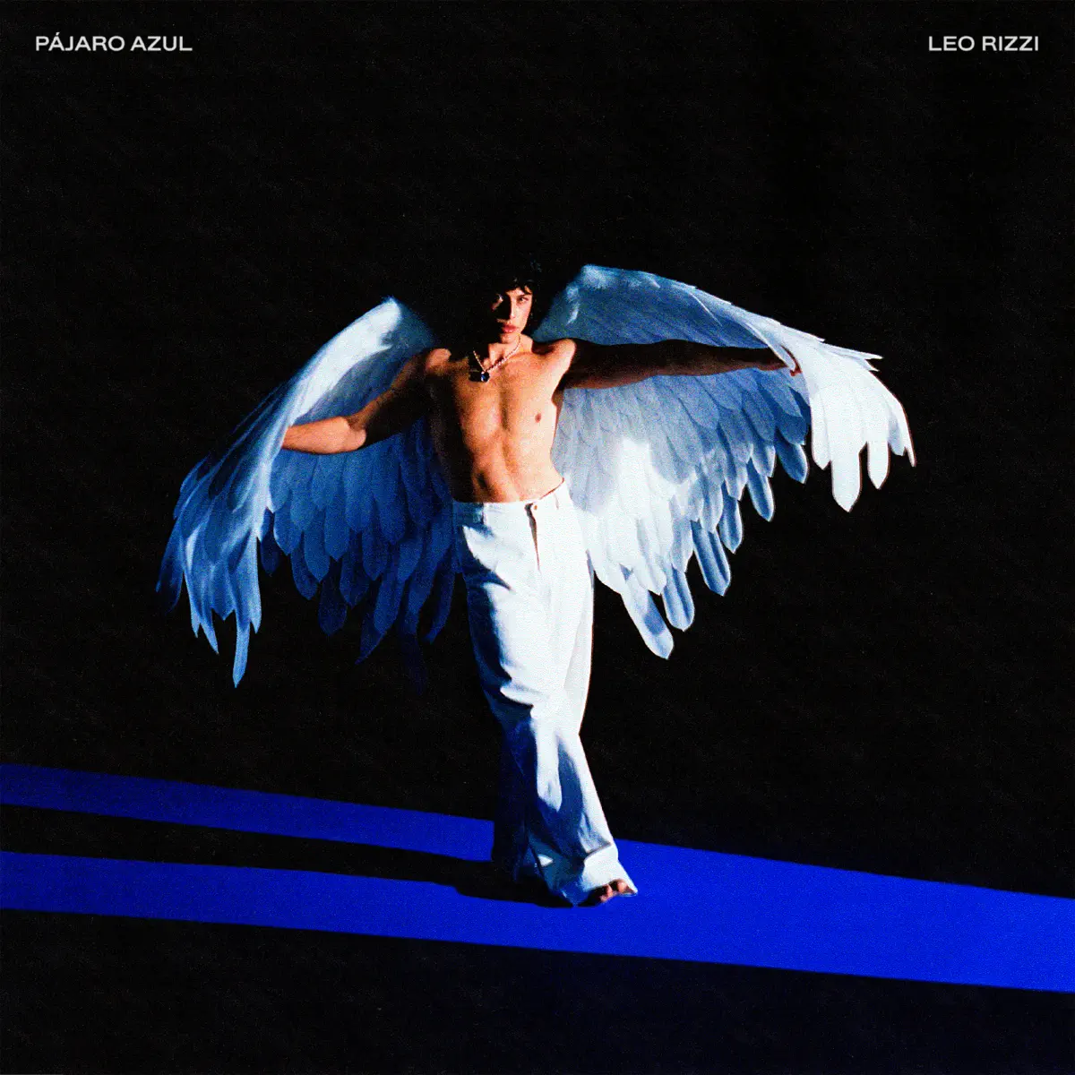 Leo Rizzi - PÁJARO AZUL (2024) [iTunes Plus AAC M4A]-新房子