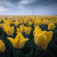 This Side - Single - Abdul Fall