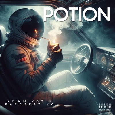 Potion (feat. Baccseat ko) - Single
