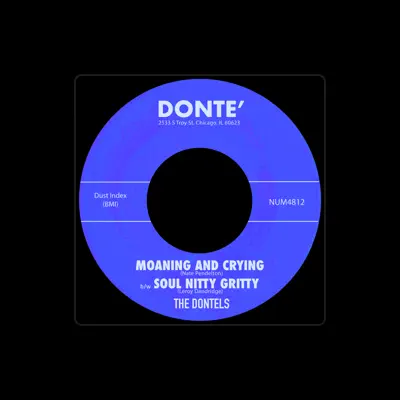 Listen to The Dontels, watch music videos, read bio, see tour dates & more!