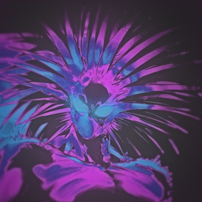VOO MORTAL - Single