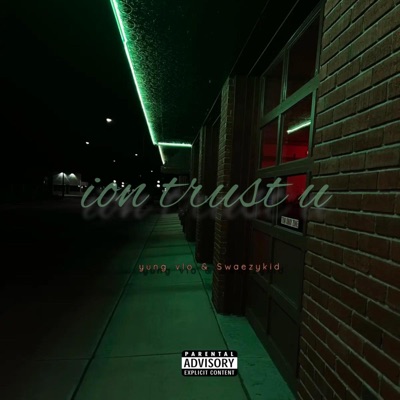 ion trust u (feat. Swaezykid) - Single