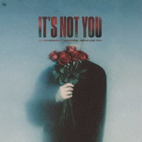 It's Not You - Single - Vadim Adamov, Venteris & Girls Like You