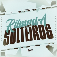 Ritmada Dos Solteiros - Single - DJ VINI JM 0DZ9