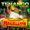 Amor Gitano
