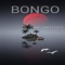 BONGO (feat. Fid Q) - AKILI TRIBE lyrics