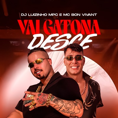 Vai Gatona Desce - Single