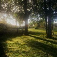 Hope (Slowed) - Single - 1NLY