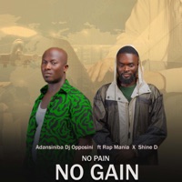 No Pain No Gain (feat. Rap Mania & SHINE D) - Single - Adansiniba Dj Opposini