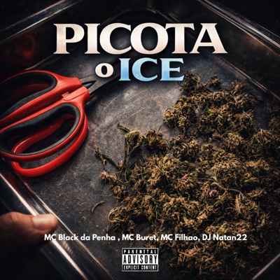 PICOTA O ICE - Single