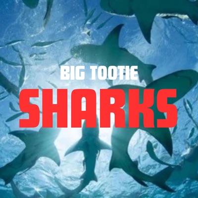 Sharks - Single