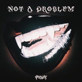 Not A Problem PNTHER