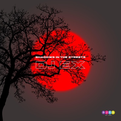 Shadows in the Streets - Single
