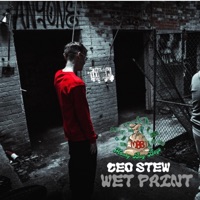 Wet Paint - Single - Ceo Stew