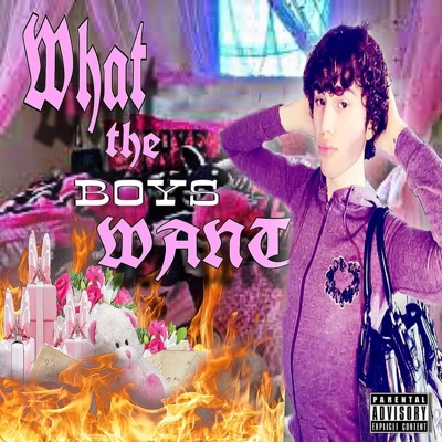 WHAT THE BOYS WANT - Single