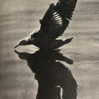 WORLDDONTWANNASEEME - Single - siii3eyes