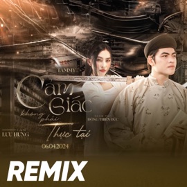 Cảm Giác Không Phải Thực Tại (Remix Ver1) NBORO FLY HUB