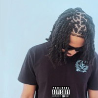 Why You Had To - Single - Lil Ap