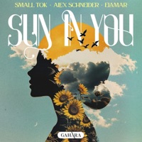 Sun in You - Single - Small ToK, Alex Schneider & Elamar