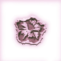 ไม่มีดอกไม้ (feat. JayQ & 4Six) - Single - 7Vibes