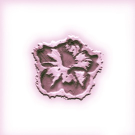 ไม่มีดอกไม้ (feat. JayQ & 4Six) 7Vibes