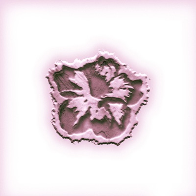 ไม่มีดอกไม้ (feat. JayQ & 4Six) - Single