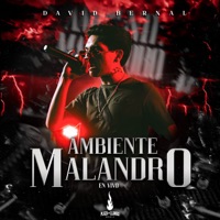 Ambiente Malandro (En Vivo) - Single - David Bernal