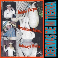 EL VIEJO PEREQUERO