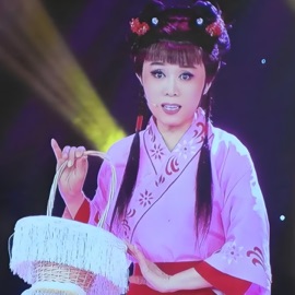 黄梅戏全剧《女驸马》 吴琼