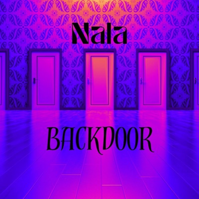 Backdoor (feat. JAYBJOHNSON) - Single