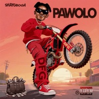 PAWOLO - Single - Shaygboga