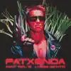 Amat Rial B - Fatxenda