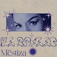 El Brillo - Single - MËSTIZA