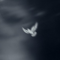 YESU - Single - Ko'rale & Hassan G