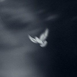 YESU Ko'rale & Hassan G