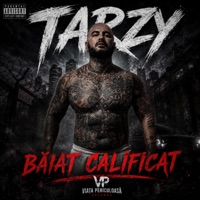 Baiat Calificat (feat. Loti) - Single - Tarzy