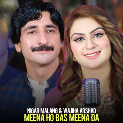Meena Ho Bas Meena Da - Single