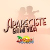 APARECISTE EN MI VIDA